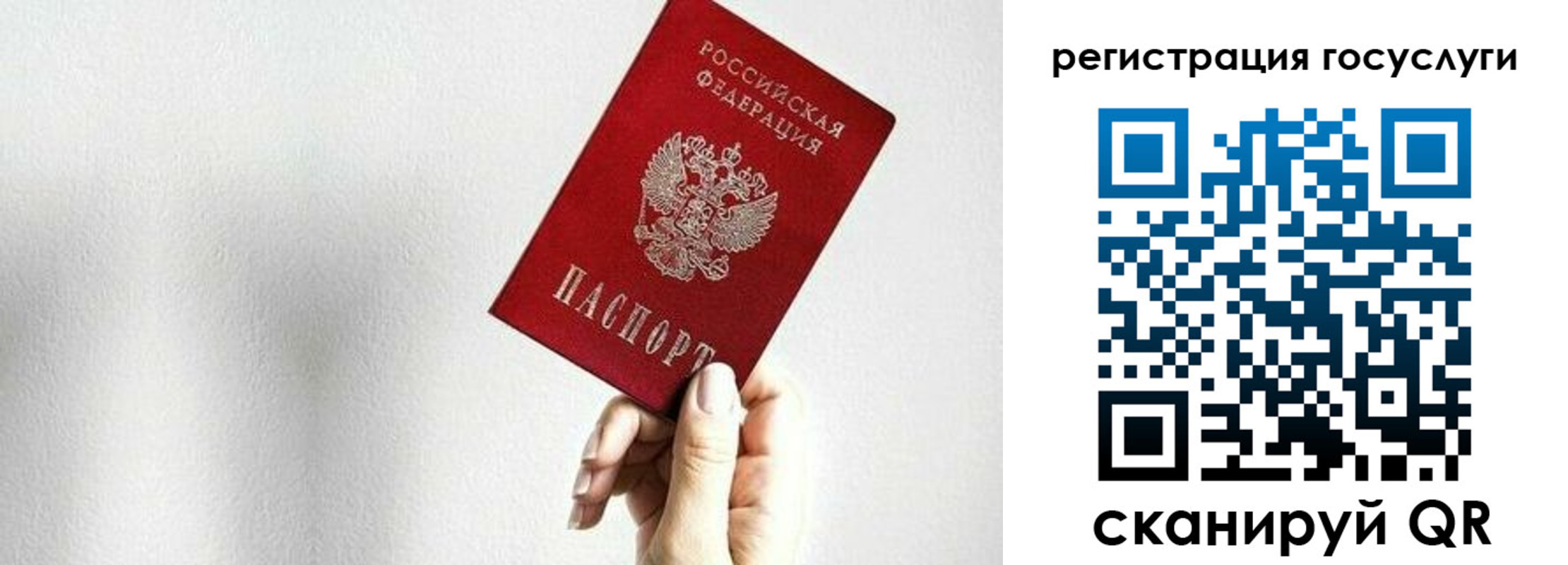 прописка гарантия в Краснокаменске